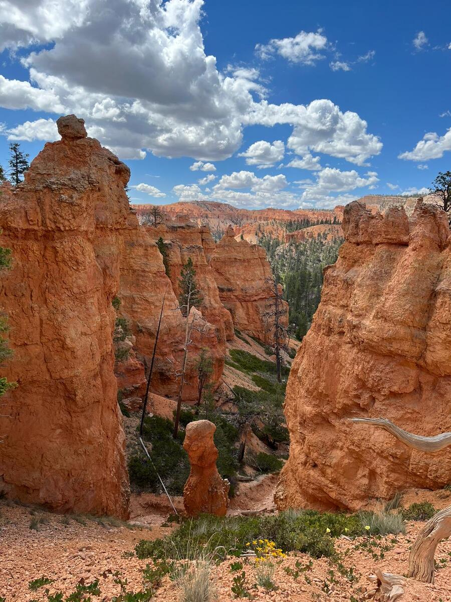 Bryce Canyon