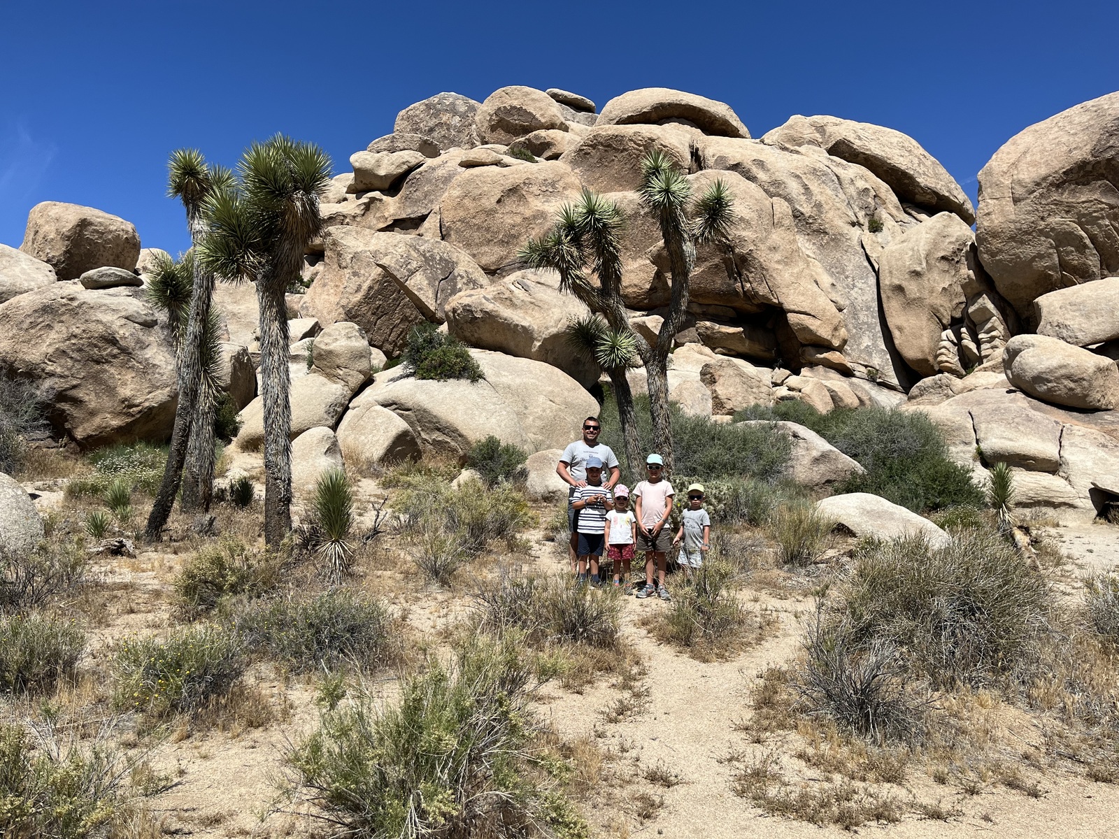 Joshua Tree