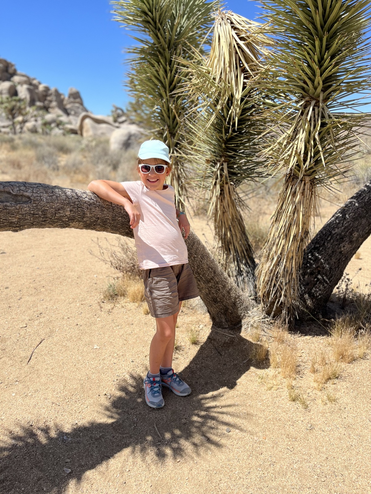 Joshua Tree