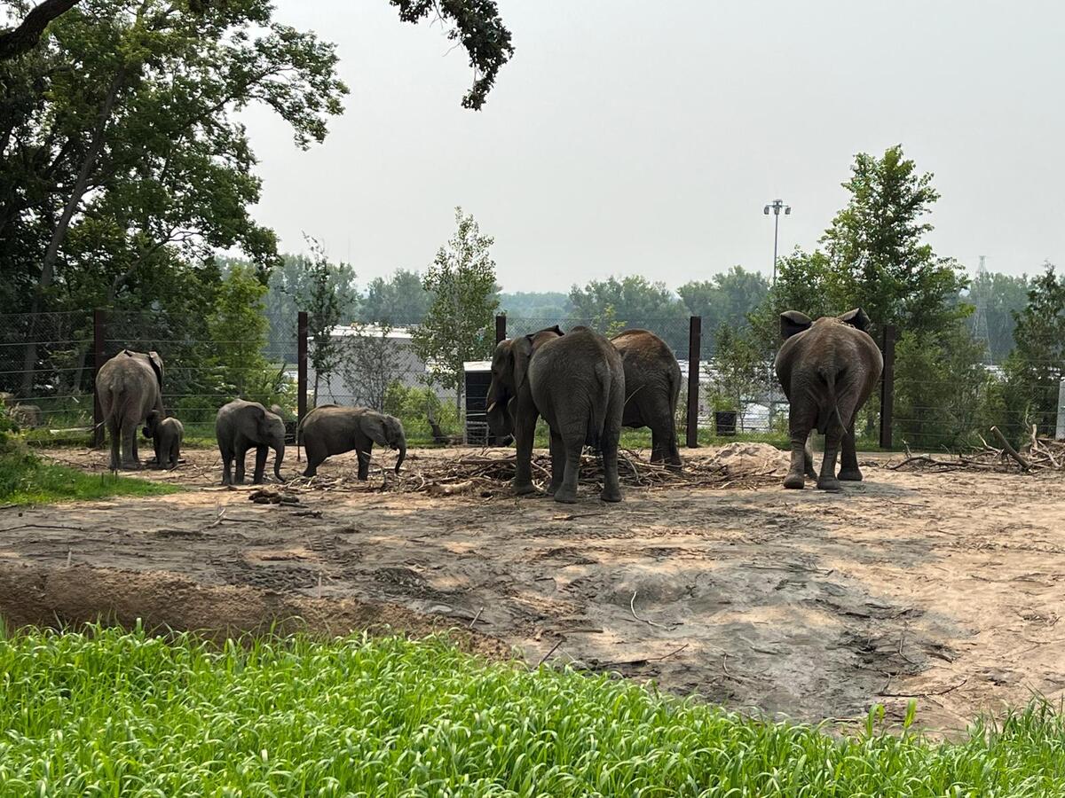Henry Doorly Zoo, Omaha
