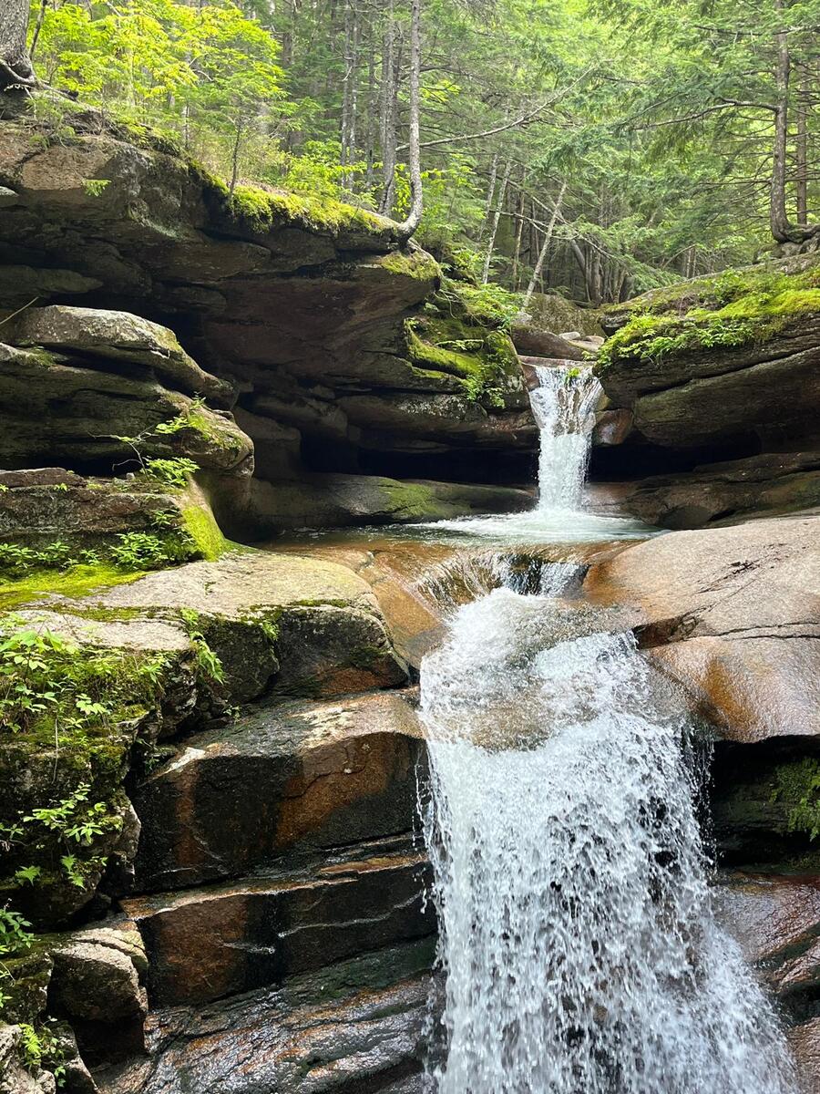 White Mountains