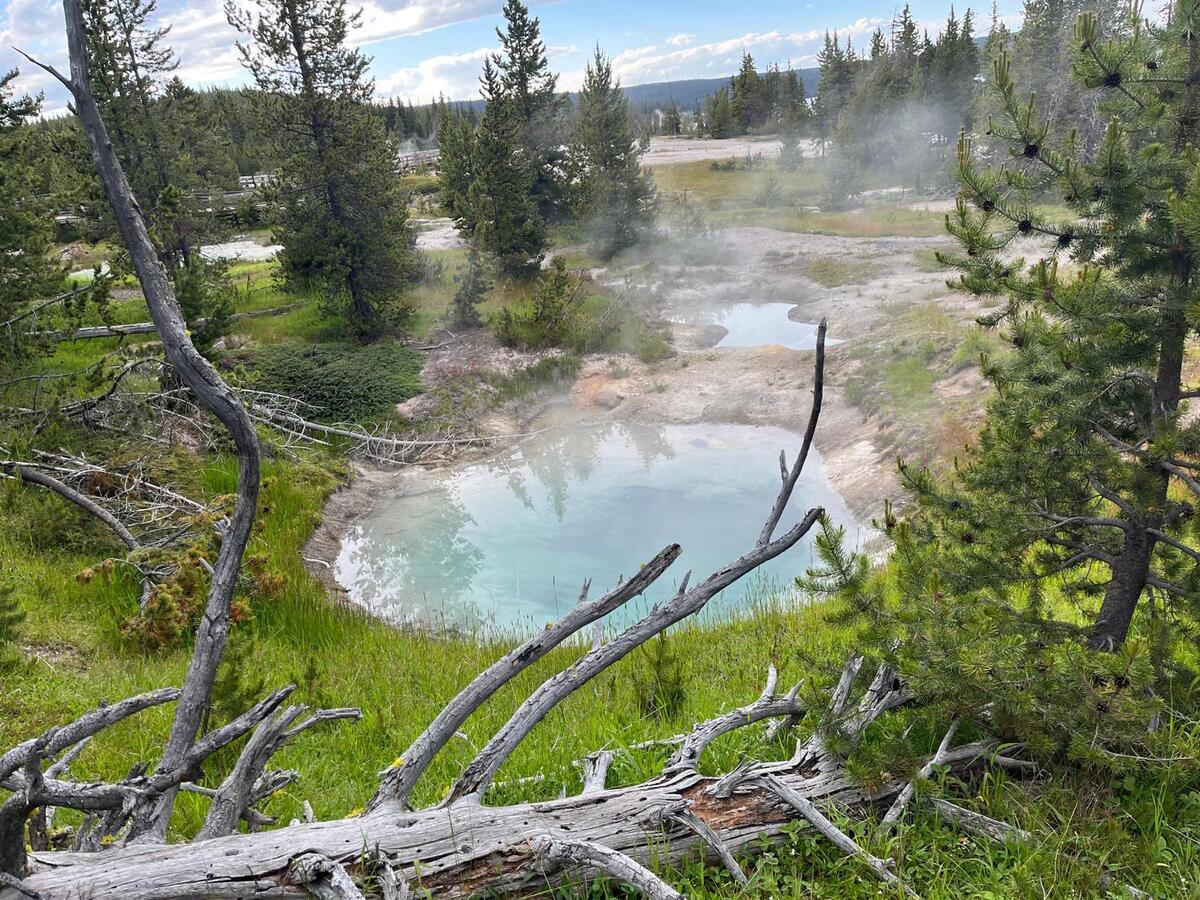 Yellowstone