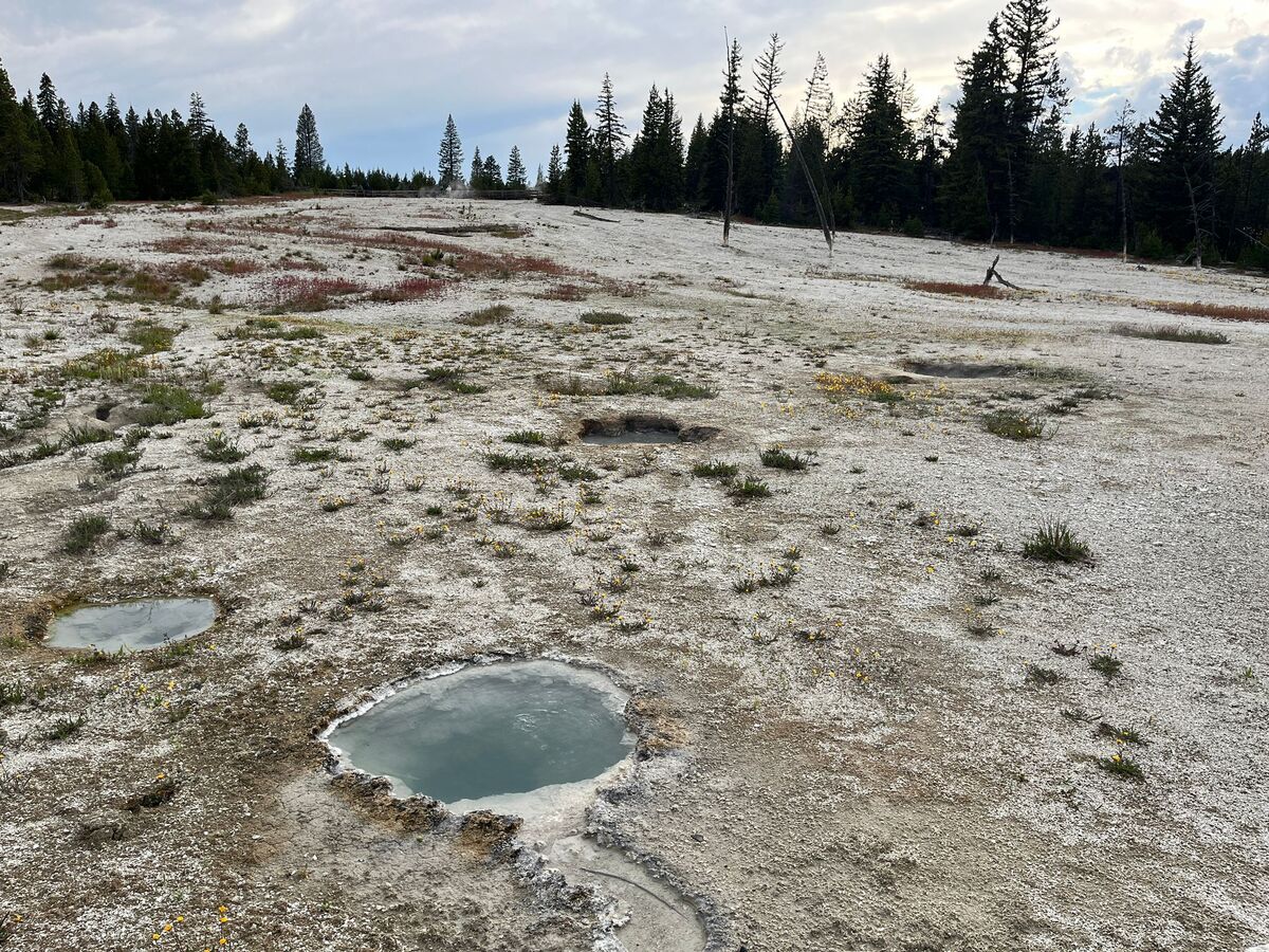 Yellowstone