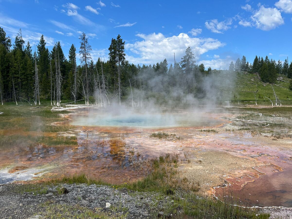 Yellowstone