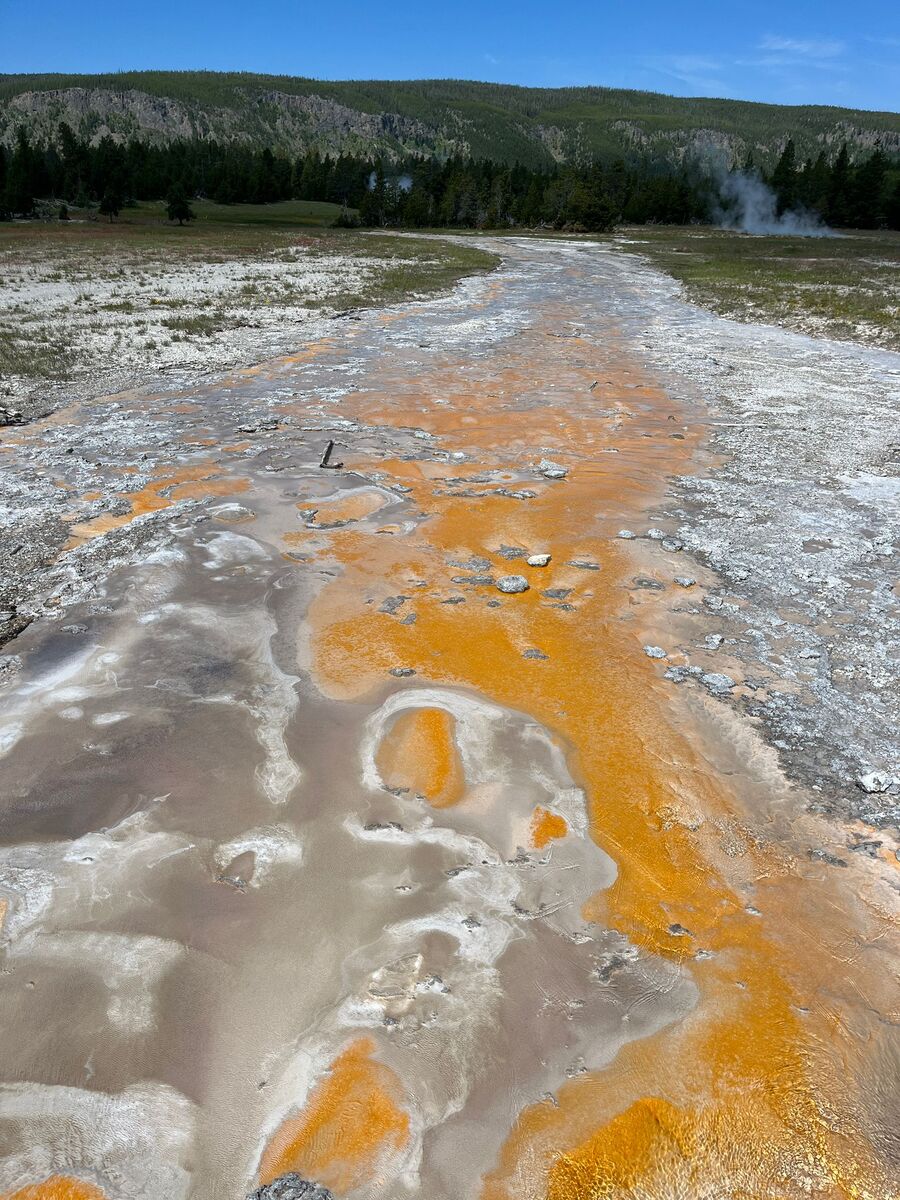 Yellowstone