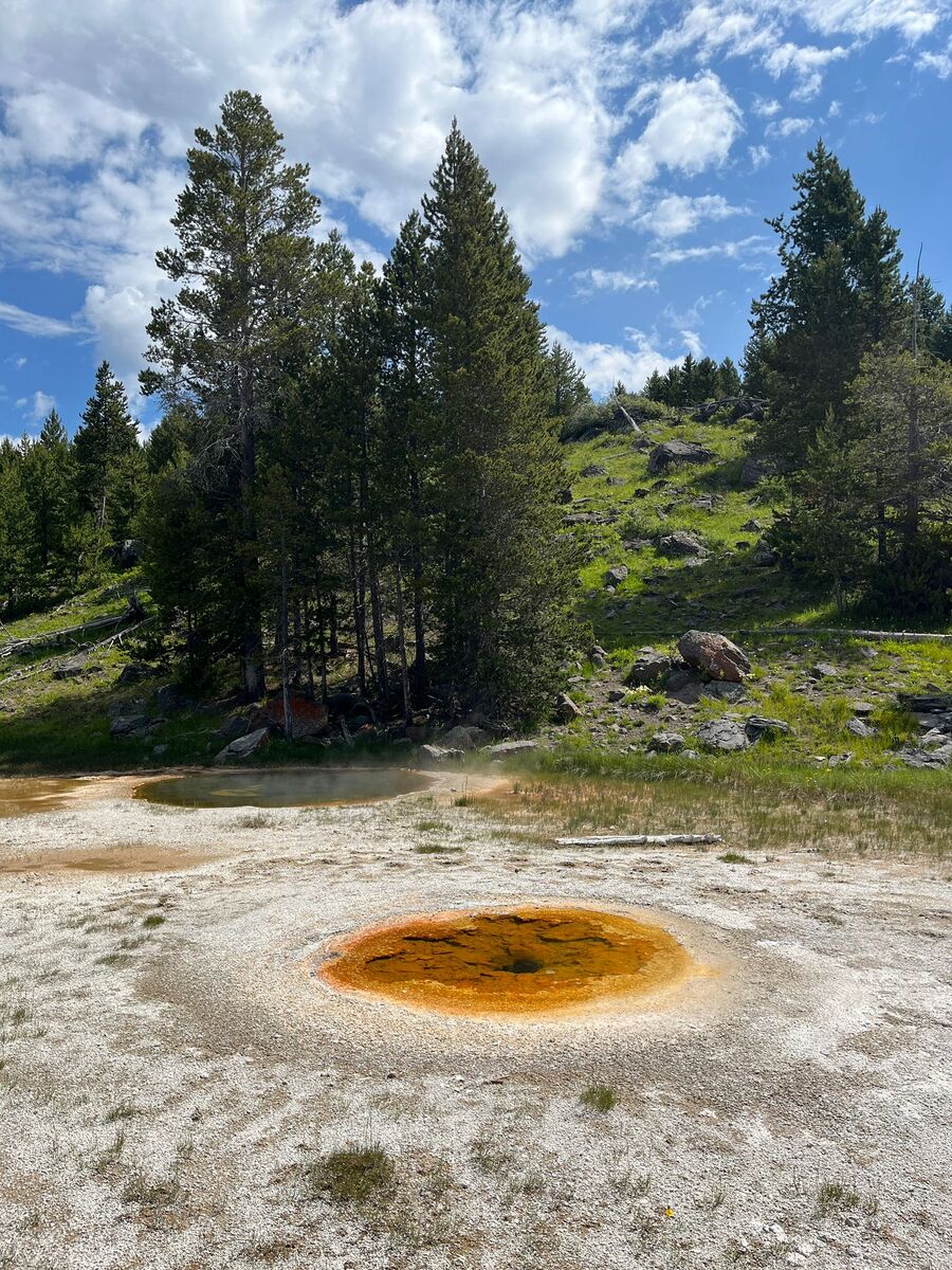 Yellowstone