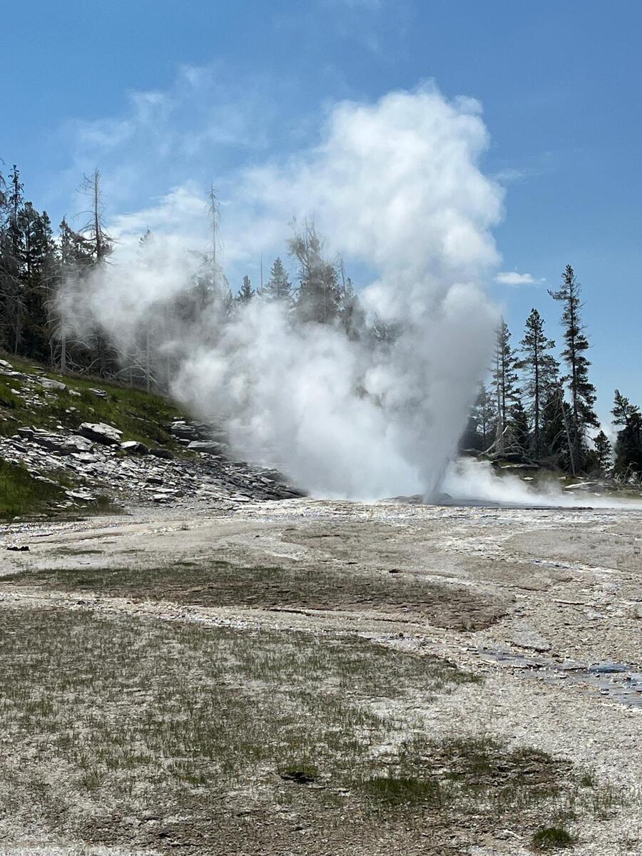 Yellowstone