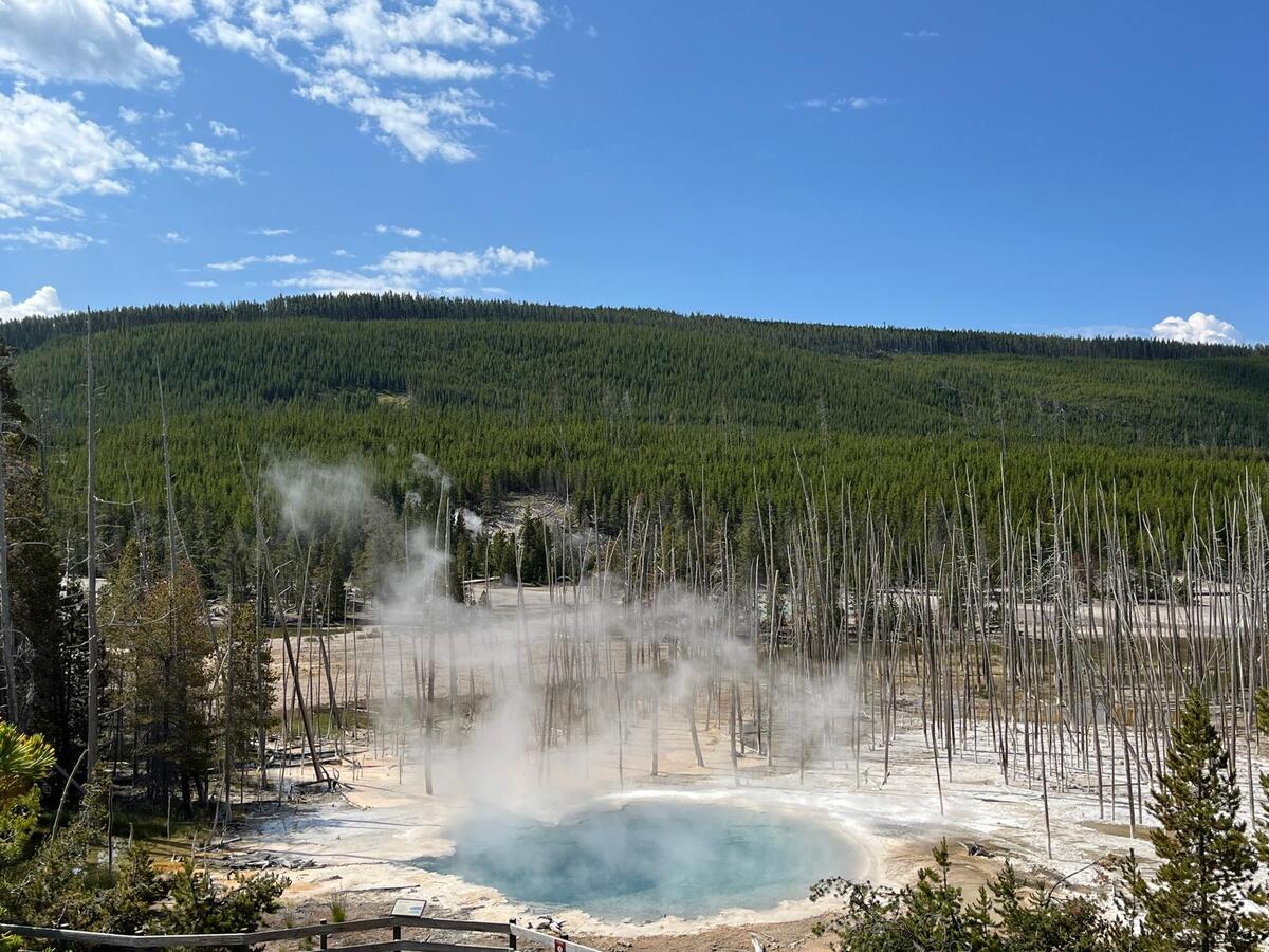 Yellowstone