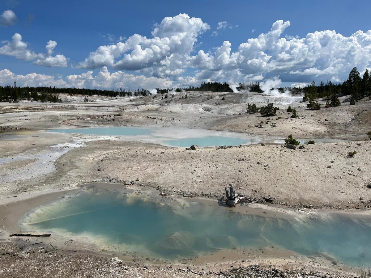 Yellowstone