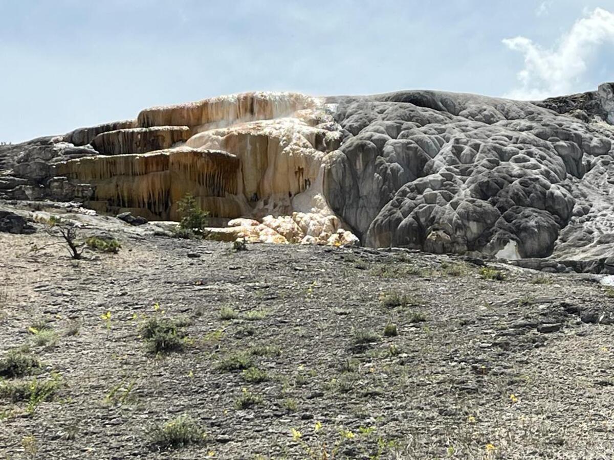 Yellowstone