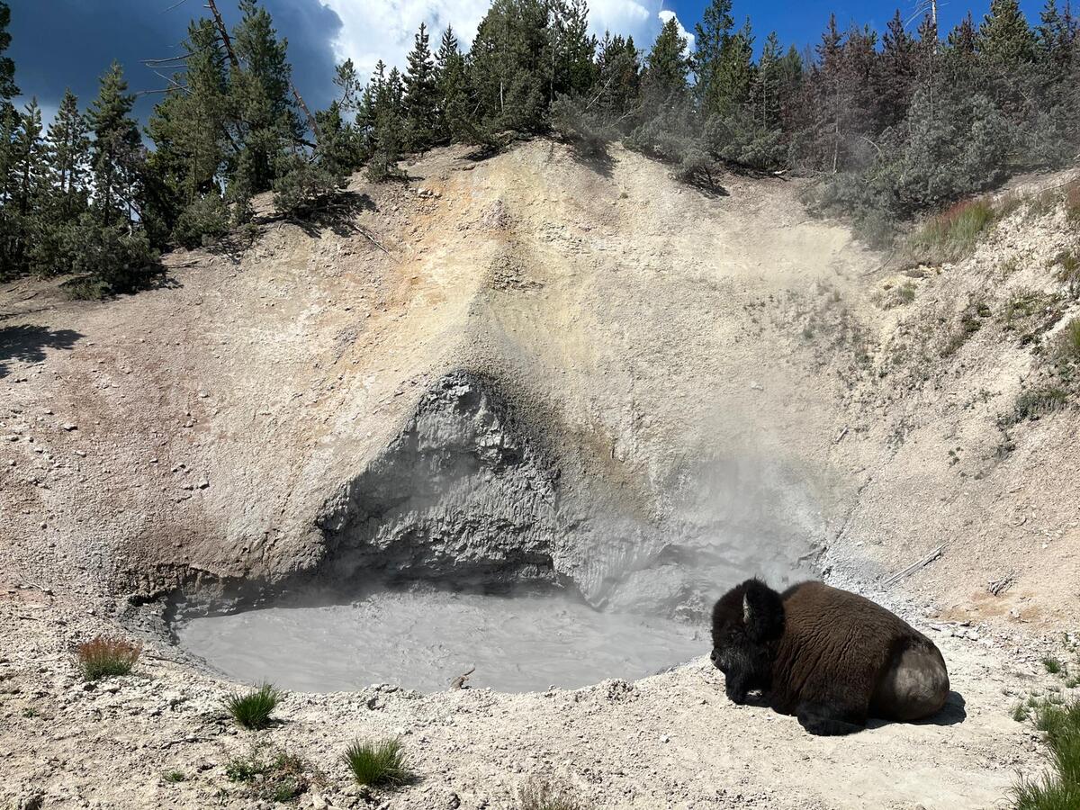 Yellowstone