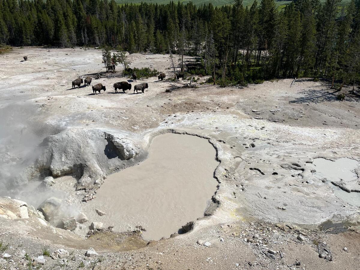 Yellowstone