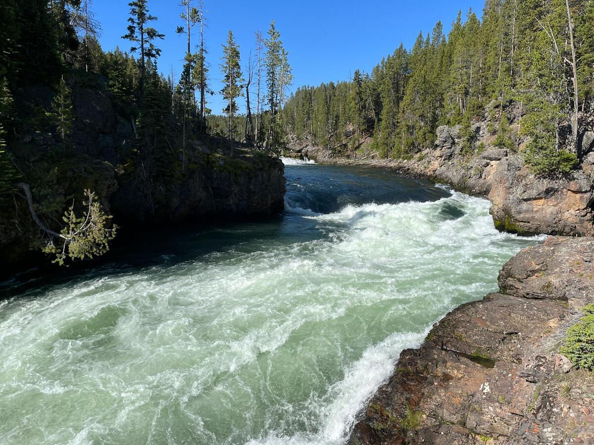 Yellowstone