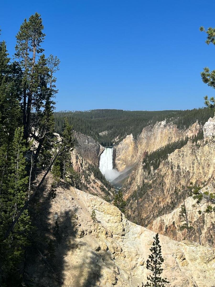 Yellowstone