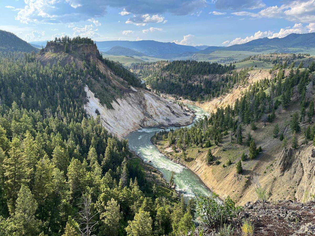 Yellowstone