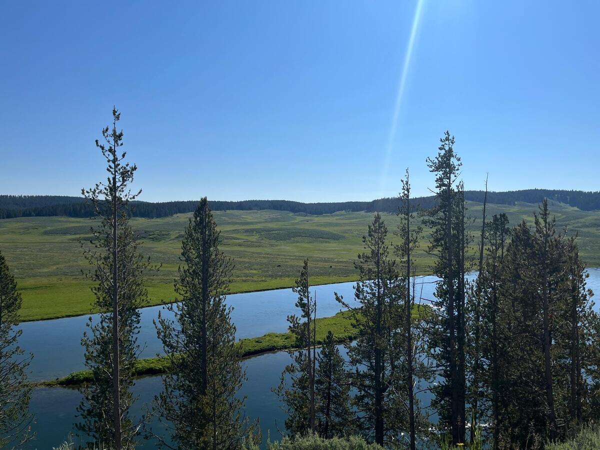 Yellowstone