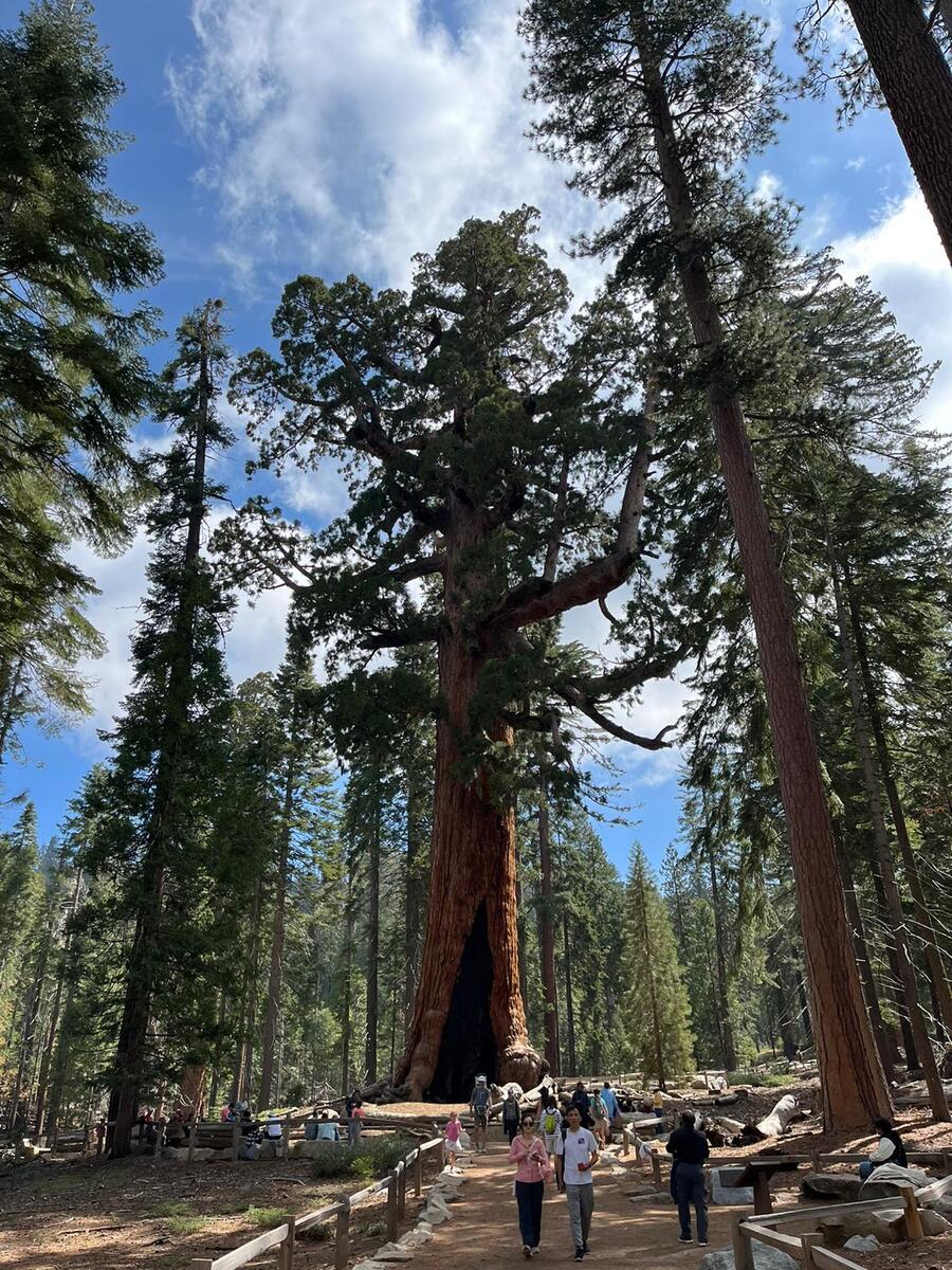 Yosemite